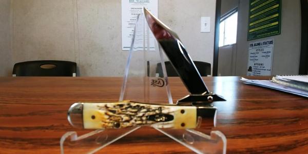 2005 CASE CHEETAH CUB  BONE STAG ETCHED BLADE AAAA++++