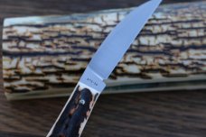 TONY BOSE WILFRED, IN. STAG ATS-34 DESK KNIFE WTH K. HAMPTON SIGNED BOSE SHEATH TONY BOSE WILFRED, IN. STAG ATS-34 DESK KNIFE WTH K. HAMPTON SIGNED BOSE SHEATH