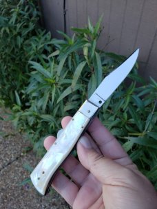 A.G.A. Campolin Mother of Pearl humpback. A.G.A. Campolin Mother of Pearl humpback.