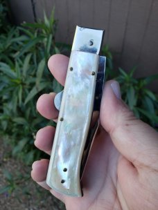 A.G.A. Campolin Mother of Pearl humpback. A.G.A. Campolin Mother of Pearl humpback.