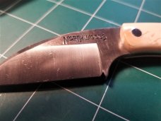 Northwoods Knives Fall Creek Wharncliffe Fixed Blade **MAMMOTH**