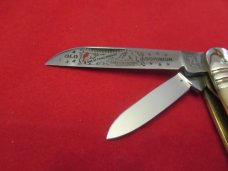 BulldDog  Brand  1984  Stag Congress 