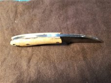 Northwoods Knives Fall Creek Wharncliffe Fixed Blade **GIRAFFE BONE**