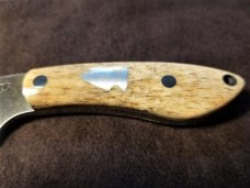 Northwoods Knives Fall Creek Wharncliffe Fixed Blade **GIRAFFE BONE**