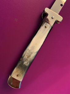 AGA Campolin Ring Pull Francese, 8.5", Brazilian Horn AGA Campolin Ring Pull Francese, 8.5", Brazilian Horn