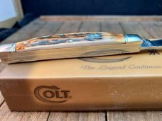 Colt Congress Stag, Beautiful