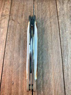 Colt Congress Stag, Beautiful