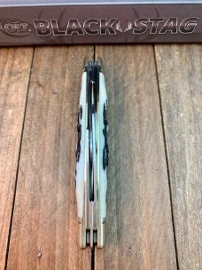 Colt Black Stag Congress 
