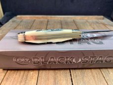 Colt Black Stag Peanut