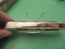 Bulldog Brand 1983 Stag Folding Hunter Made For the ODKCA Bulldog Brand 1983 Stag Folding Hunter Made For the ODKCA