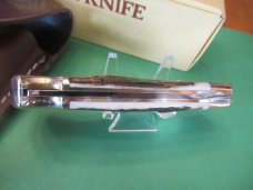 Buck Stag 110 