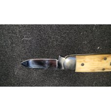 Schatt & Morgan by Queen Cutlery 2-Blade Baby Sunfish with Mastadon Bark Ivory Handles Schatt & Morgan by Queen Cutlery 2-Blade Baby Sunfish with Mastadon Bark Ivory Handles