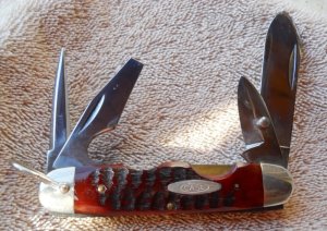 Case 6445R Red Bone Camp / Utility knife 