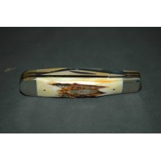 Case Stag Swell Jack Knife Case Stag Swell Jack Knife