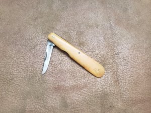 Vintage George Wostenholm ivory budding knife 