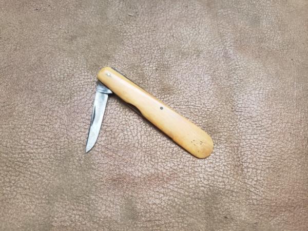 Vintage George Wostenholm ivory budding knife 