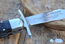 Schrade Collectors Club 2008 5" Jigged Black Bone Button Lock Mint Just The Knife 1 Of 600 Schrade Collectors Club 2008 5" Jigged Black Bone Button Lock Mint Just The Knife 1 Of 600