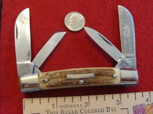Bull Dog Brand  'Pit Bulls Trade Mark" Medium Congress with Stag Handles 
