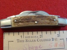 Bull Dog Brand 'Pit Bulls Trade Mark" Medium Congress with Stag Handles Bull Dog Brand 'Pit Bulls Trade Mark" Medium Congress with Stag Handles