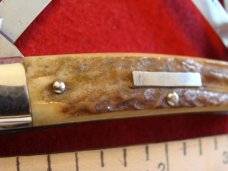 Bull Dog Brand 'Pit Bulls Trade Mark" Medium Congress with Stag Handles Bull Dog Brand 'Pit Bulls Trade Mark" Medium Congress with Stag Handles