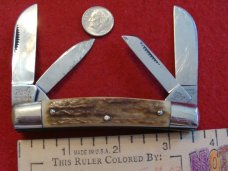 Bull Dog Brand 'Pit Bulls Trade Mark" Medium Congress with Stag Handles Bull Dog Brand 'Pit Bulls Trade Mark" Medium Congress with Stag Handles