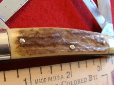 Bull Dog Brand 'Pit Bulls Trade Mark" Medium Congress with Stag Handles Bull Dog Brand 'Pit Bulls Trade Mark" Medium Congress with Stag Handles