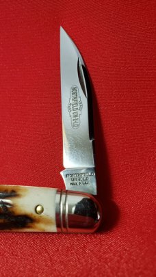 Great Eastern Cutlery 62 Sambar Stag Conductor, Congress, Easy Pocket Knife, New 620220