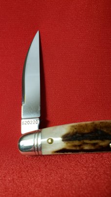 Great Eastern Cutlery 62 Sambar Stag Conductor, Congress, Easy Pocket Knife, New 620220