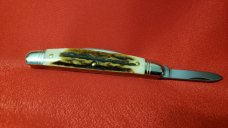 Great Eastern Cutlery 62 Sambar Stag Conductor, Congress, Easy Pocket Knife, New 620220