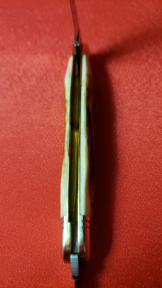 Great Eastern Cutlery 62 Sambar Stag Conductor, Congress, Easy Pocket Knife, New 620220