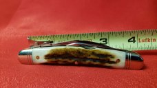Great Eastern Cutlery 62 Sambar Stag Conductor, Congress, Easy Pocket Knife, New 620220