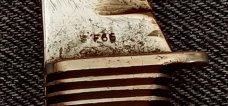 Western Black Beauty – F66