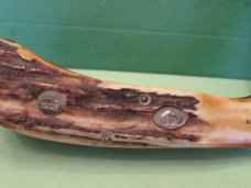 Cripple Creek 1988 Stag Saddlehorn Made for the Kentucky Cutlery Club