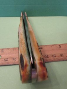 Cripple Creek 1988 Stag Saddlehorn Made for the Kentucky Cutlery Club