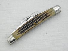 Queen Cutlery Co. #33 Congress in Winterbottom Bone: 3 1/2” closed; 1954 – 1957 Queen Cutlery Co. #33 Congress in Winterbottom Bone: 3 1/2” closed; 1954 – 1957