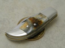Taylor Cutlery Japan Bone Mini Folding Hunter Knife 