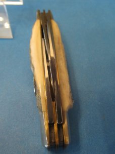 Bulldog Brand Stag Congress For CKKC Bulldog Brand Stag Congress For CKKC