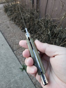 Funky AKC Fishtail Piclock