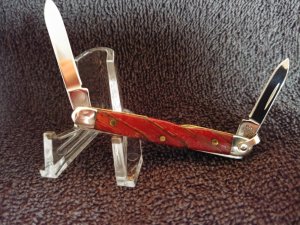 Case Small pen Knife with Bail and unbelievable wood scales