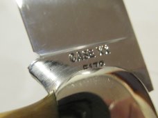 Case XX 3rd Model 5172 Stag Clasp Bulldog Case XX 3rd Model 5172 Stag Clasp Bulldog