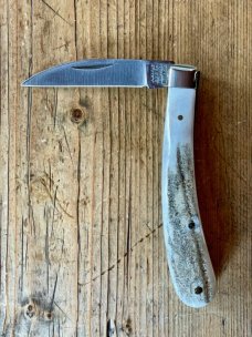 A Wright & Son "Ettrick" Carving knife with Stag Scales and Curved Wharncliffe Blade