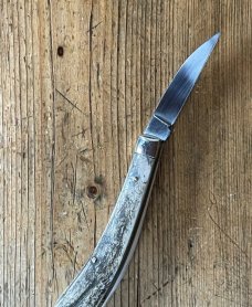 A Wright & Son "Ettrick" Carving Knife with Stag Scales and Curved Wharncliffe Blade & Filed Spring