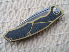 MAXACE - HALICTUS - NIB
