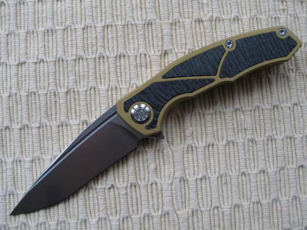 MAXACE - HALICTUS - NIB