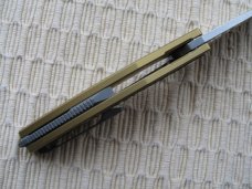 MAXACE - HALICTUS - NIB