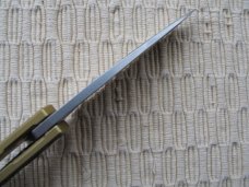 MAXACE - HALICTUS - NIB