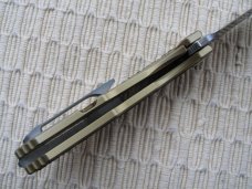 MAXACE - HALICTUS - NIB