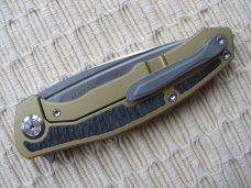 MAXACE - HALICTUS - NIB