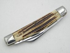 Queen Cutlery Co. #31 Half Congress in Winterbottom Bone: 4” closed; 1951-1951, Queen STAINLESS Queen Cutlery Co. #31 Half Congress in Winterbottom Bone: 4” closed; 1951-1951, Queen STAINLESS