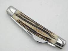 Queen Cutlery Co. #31 Half Congress in Winterbottom Bone: 4” closed; 1951-1951, Queen STAINLESS Queen Cutlery Co. #31 Half Congress in Winterbottom Bone: 4” closed; 1951-1951, Queen STAINLESS